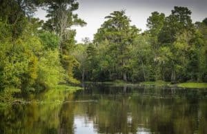Guia Hispana Louisiana: Sabor latino 1 Paisaje de Estado de Louisiana, y su rio