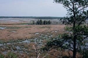 Virginia, Chesapeake bay