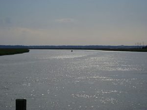 U.S: ¿Porqué un hispano hizo la primera Gramática americana? 3 Isla de Tybee en U,S