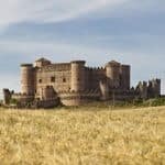 U.S: ¿Qué plantas llevaron los españoles a América? 2 Trigo alrededor del Castillo de Belmonte
